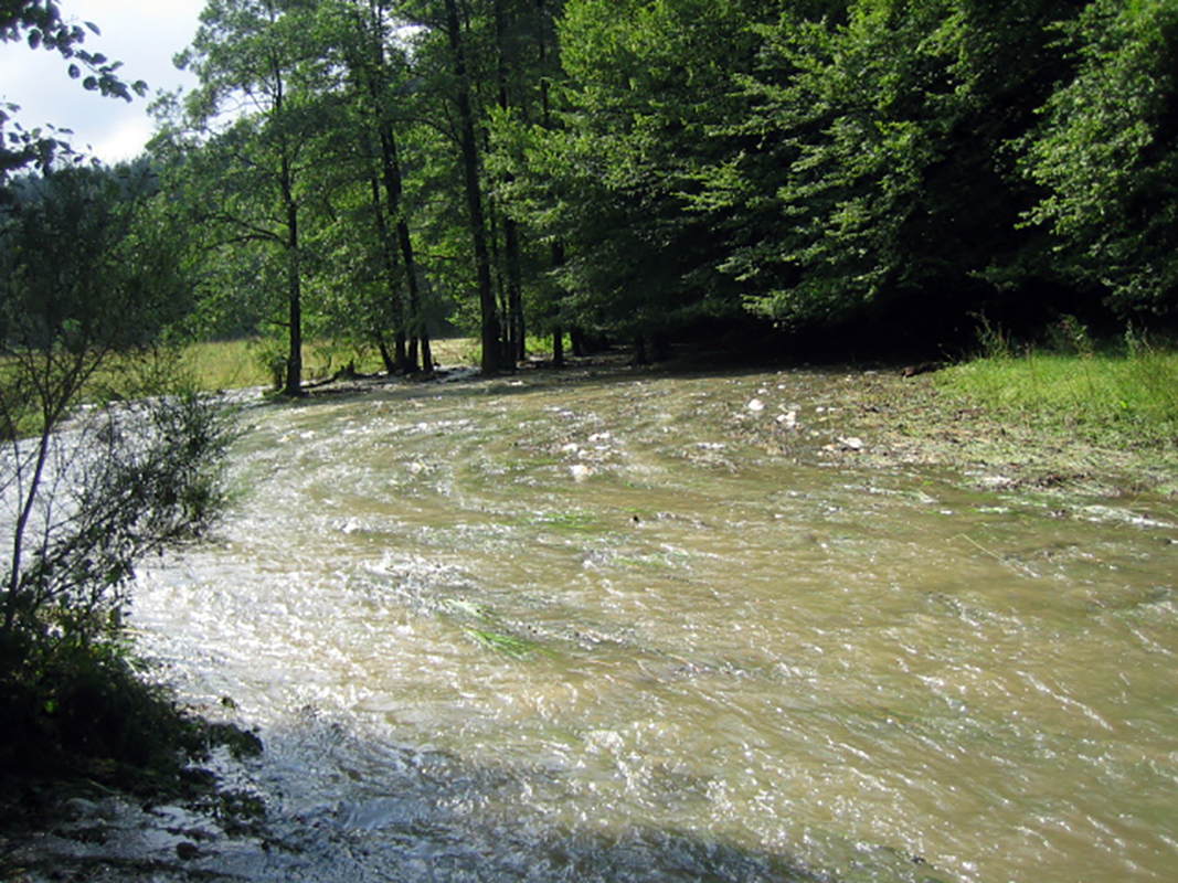 Hochwasser am Fluss 2014
