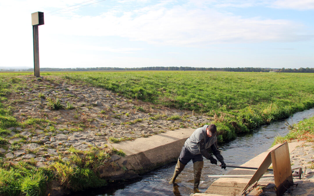 Hochwasser – Aktuelle Messwerte