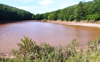 Stadt Mechernich und Erftverband schließen Vereinbarung zur Umgestaltung des Kommerner Mühlensees in ein Hochwasserrückhaltebecken