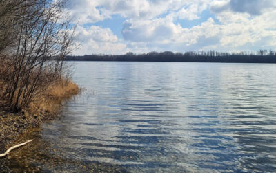 Naturschutzgebiet Neffelsee