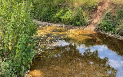 Allgemeinverfügung zur Untersagung von Wasserentnahmen aus Teilen der Erft