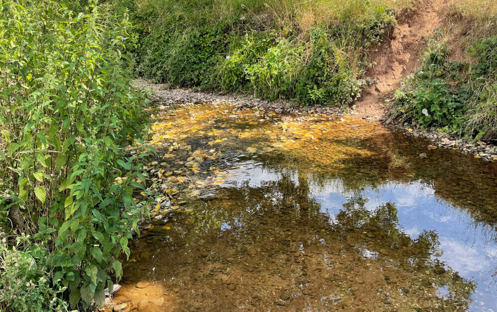 Trockenheit Rotbach in Lechenich