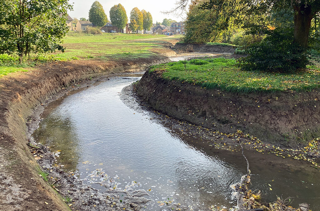 Infofluss Artikel: Neffelbach Renaturierung in Nörvenich