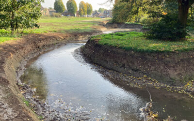 Infofluss Artikel: Neffelbach Renaturierung in Nörvenich