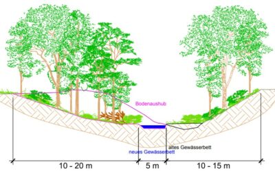 Rodungsarbeiten am Neffelbach-Umfluter in Kerpen