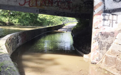 Tiefdruckgebiet sorgt für Starkregenereignis