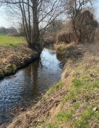Rotbach in Erftstadt Friesheim