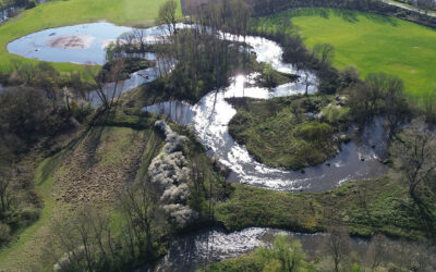 Informationsfluss 3|2026:Erft-Renaturierung in Neuss-Gnadental