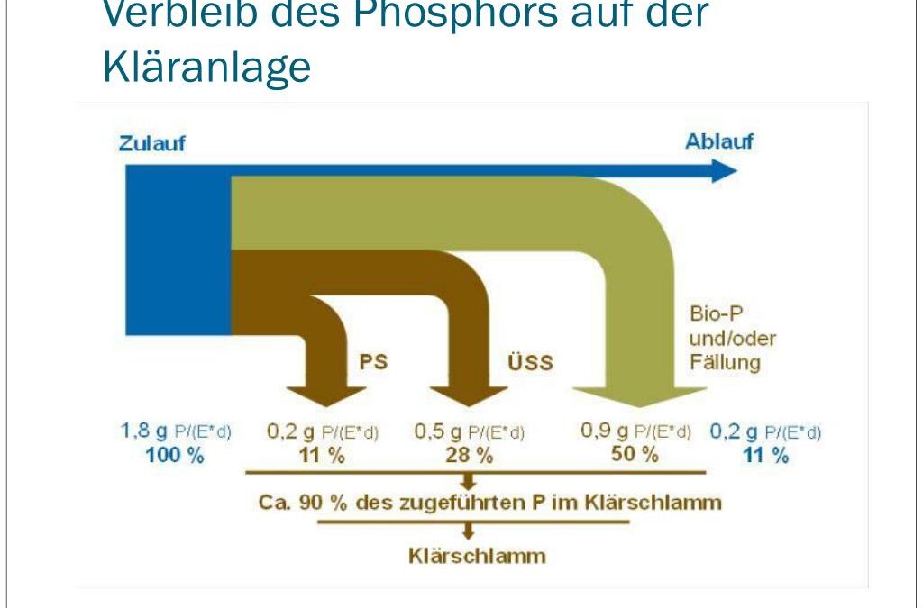 Was ist eigentlich Phosphor?