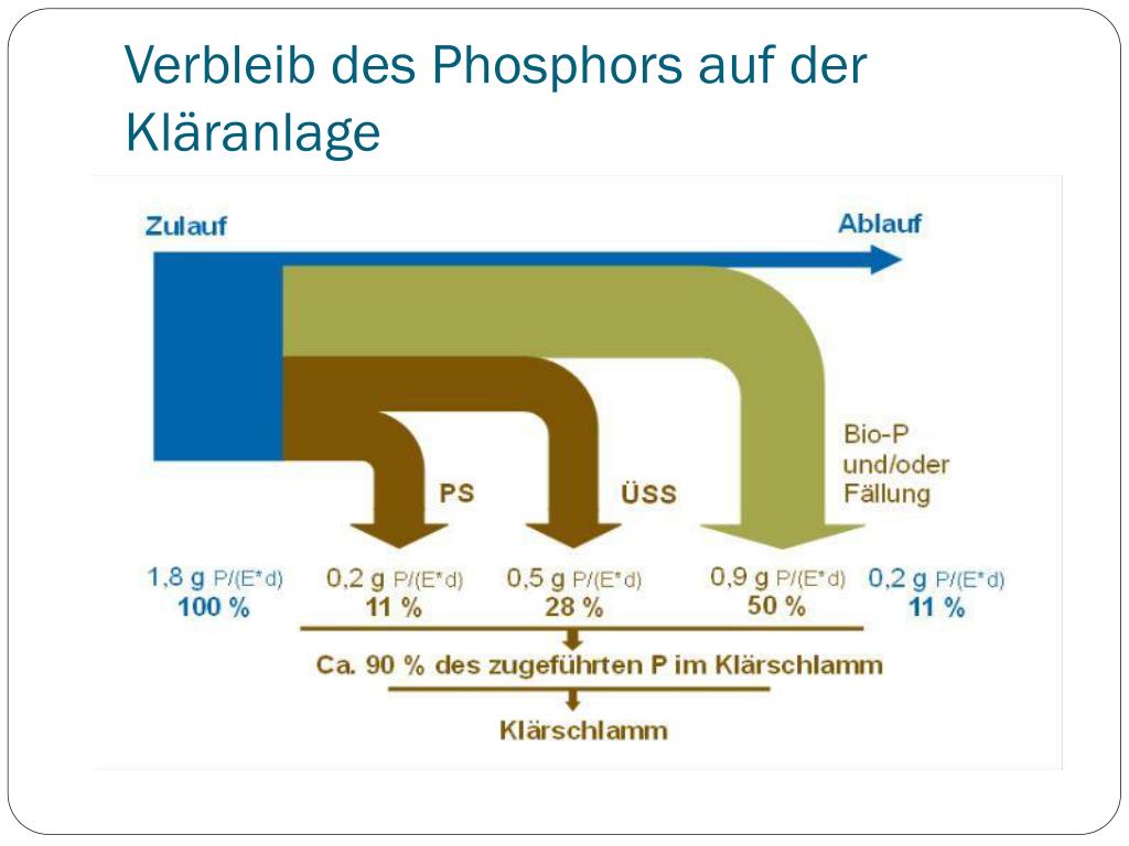 Grafik über den Verbleib von Phosphor auf der Kläranlage