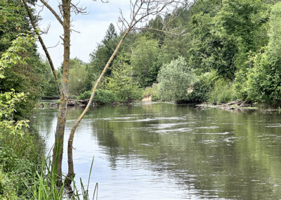 Erft in Frimmersdorf