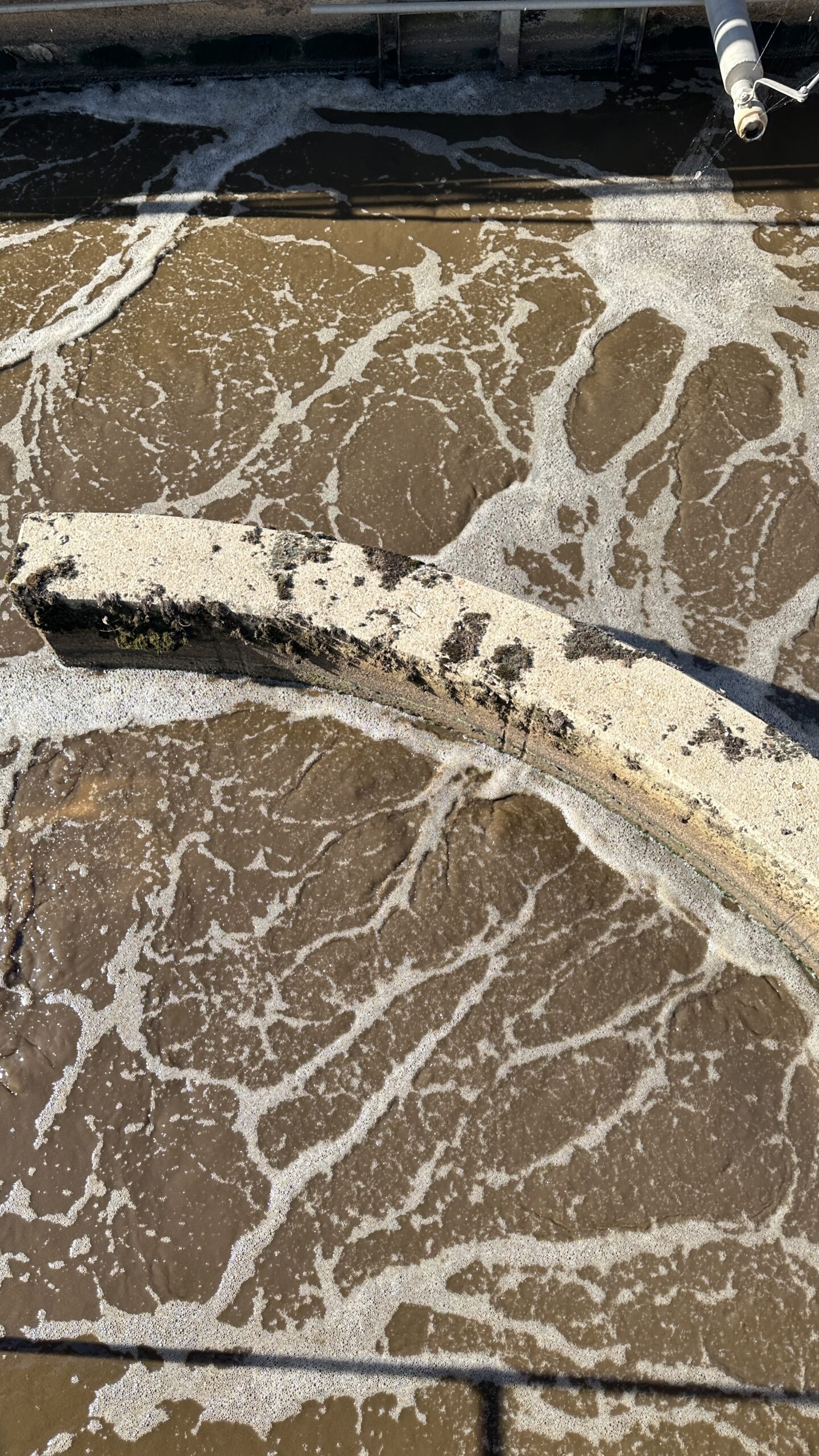 Kläranlage Anstel Belebungsbecken