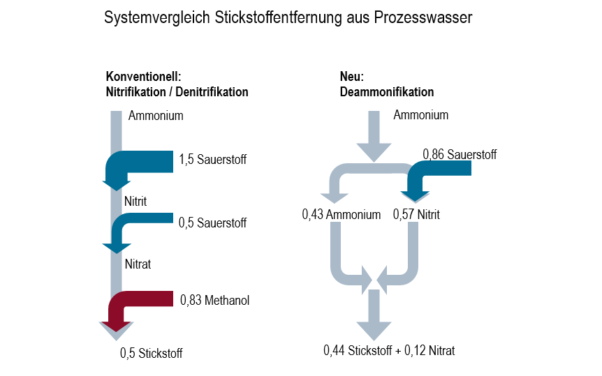 Deammonifikation