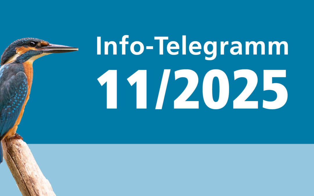 Info-Telegramm 11/25