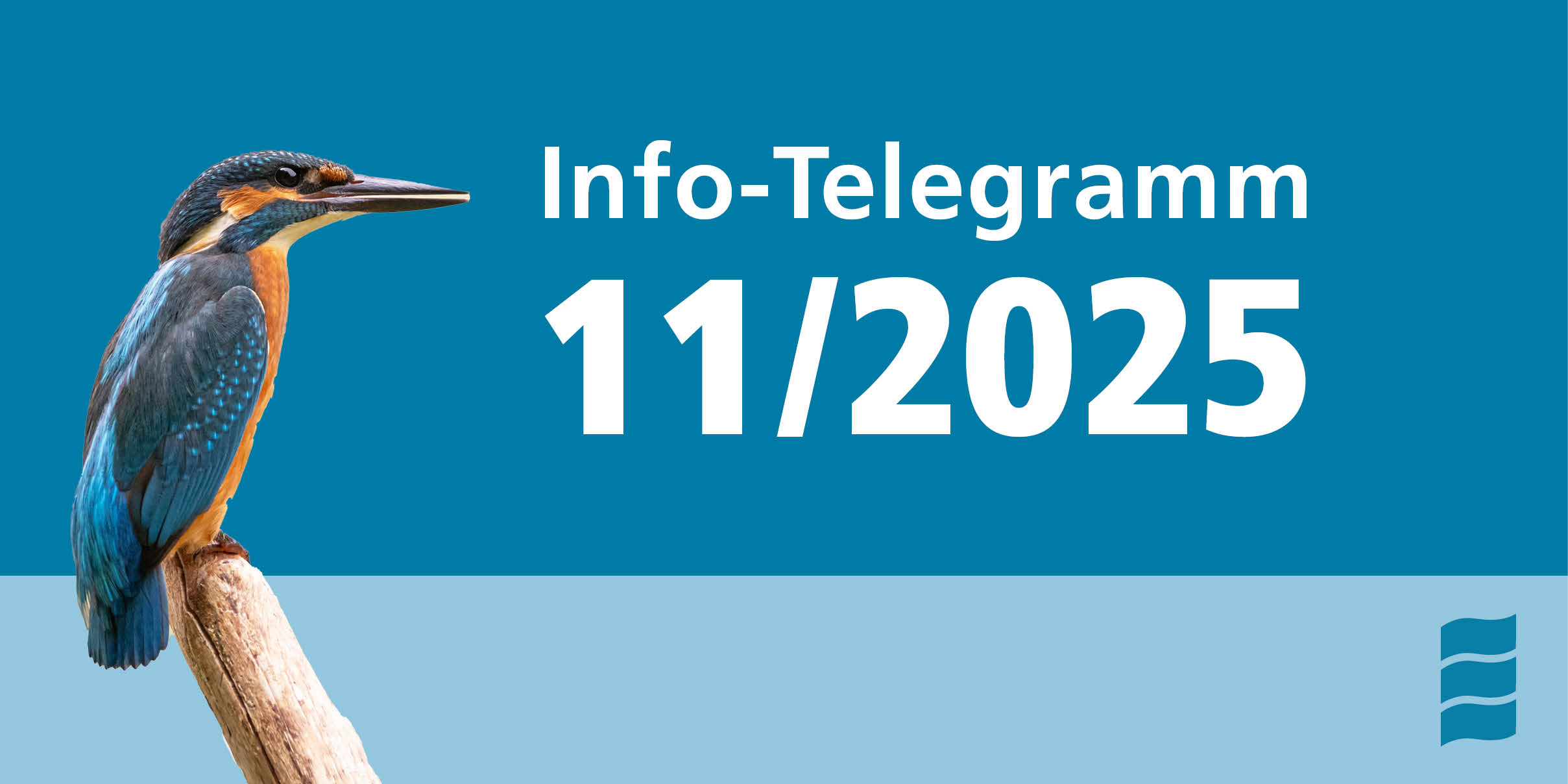 header-info-telegramm_11-25