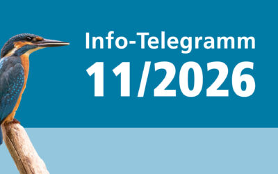 Info-Telegramm 11/25