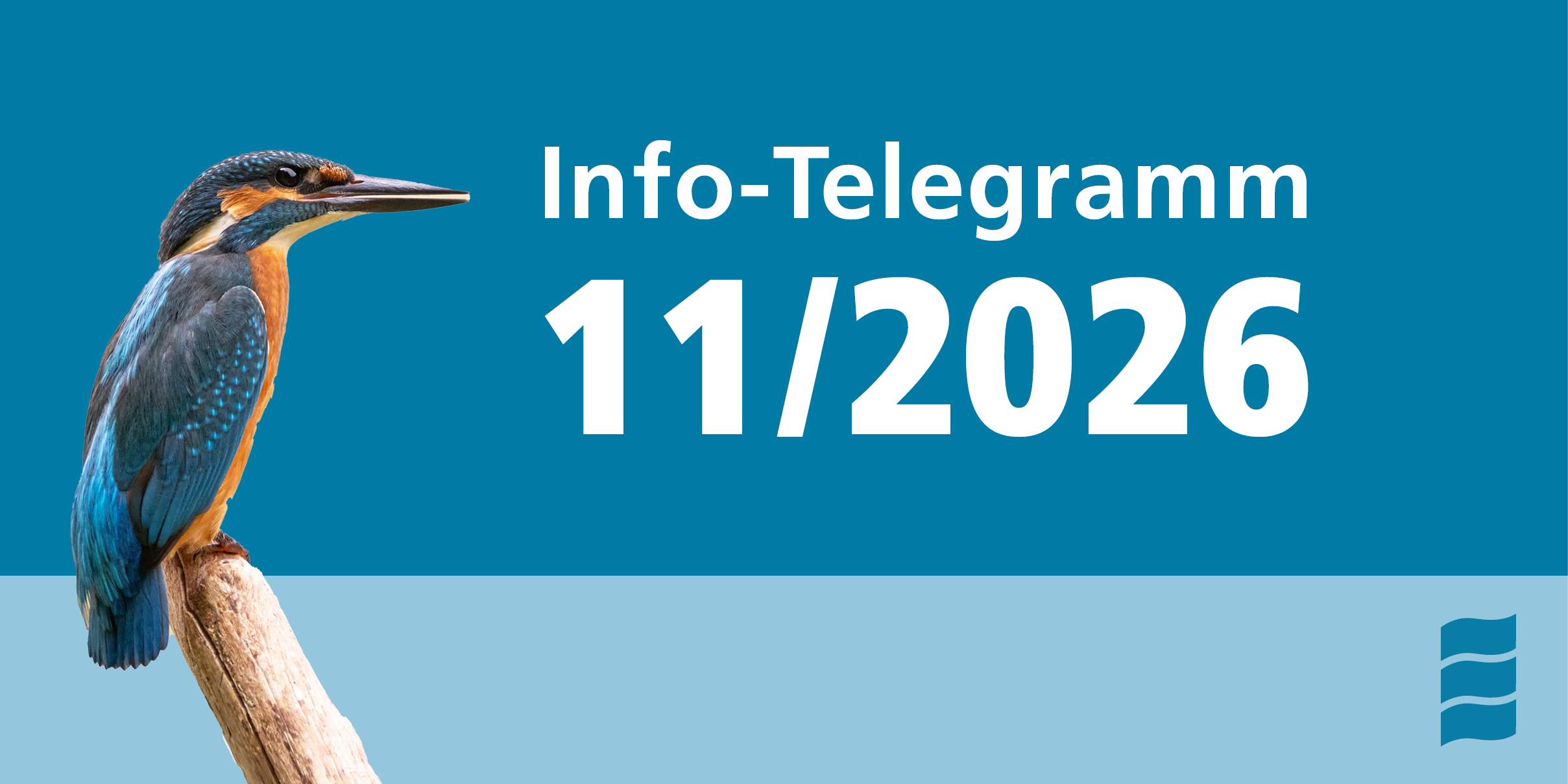 Info-Telegramm 11/25 Info-Telegramm 11/25