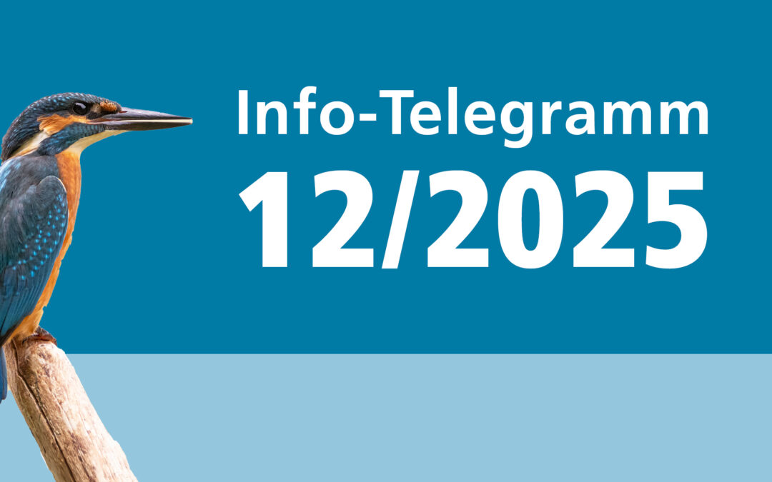 Info-Telegramm 12/25