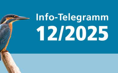 Info-Telegramm 12/25