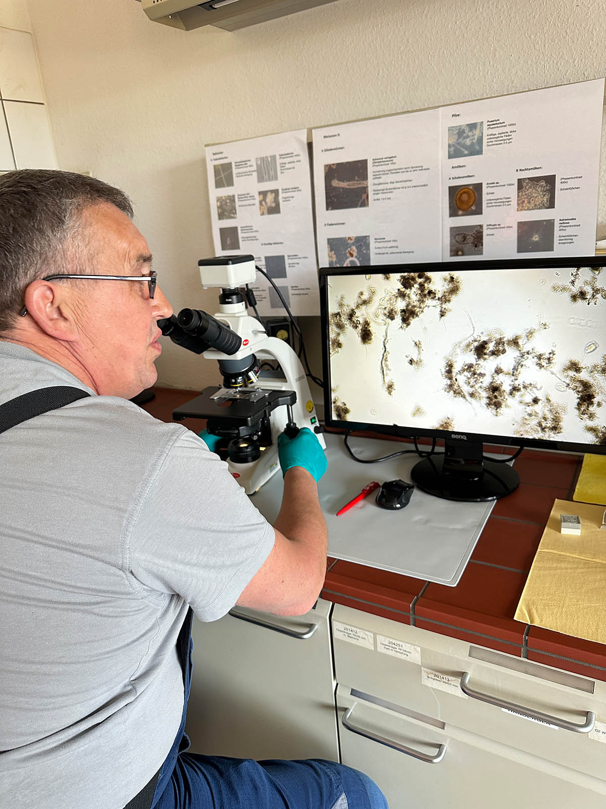 2025_weltwassertag_ka-weilerswist_ser_ (34) Mitarbeiter analysiert Wasserprobe der Kläranlage Weilerswist mit einem Mikroskop im Labor