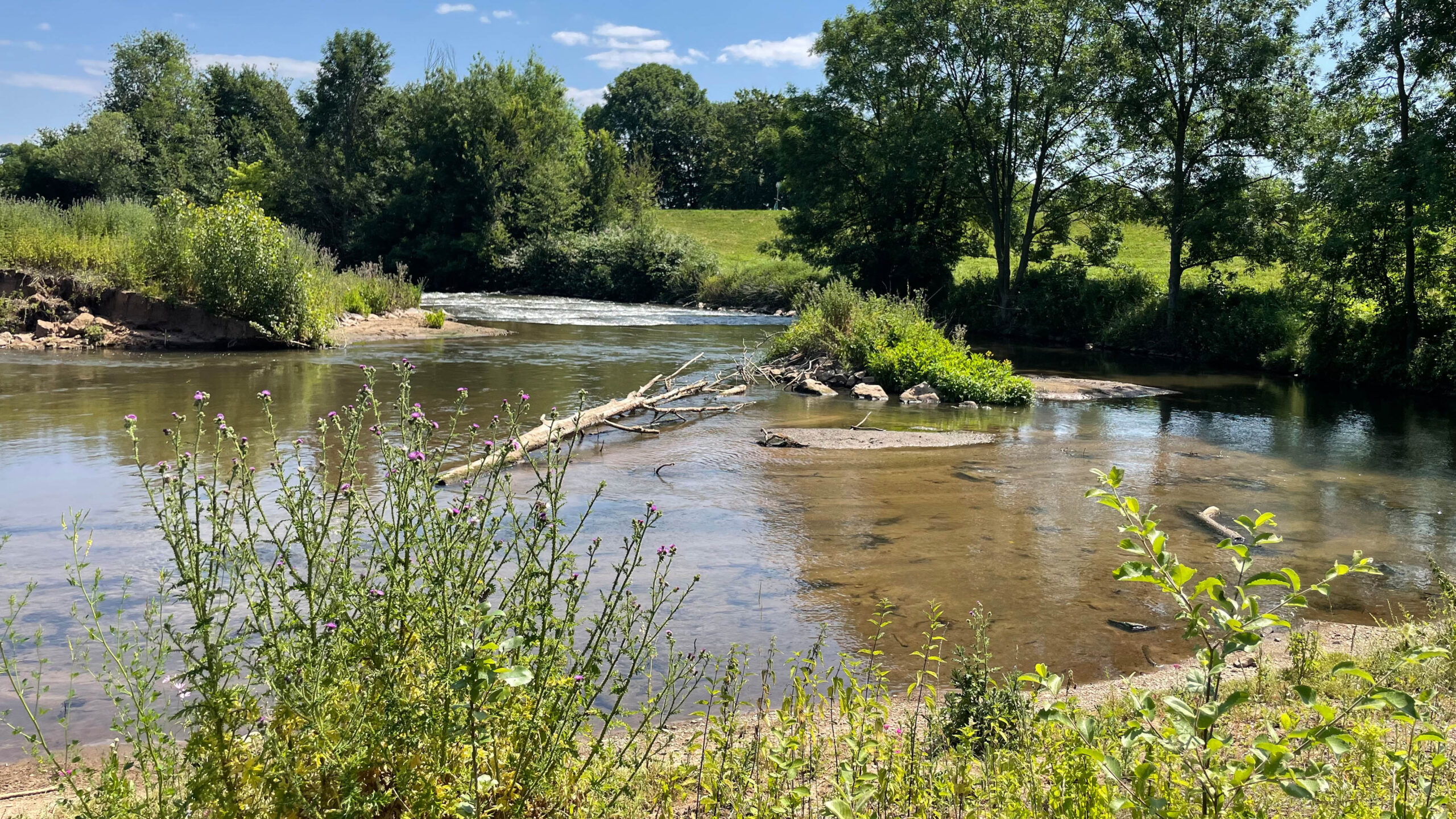 Renaturierung Neuss-Gnadental