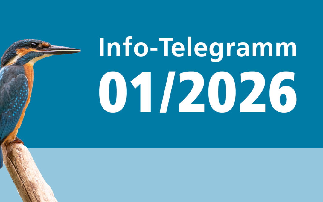 Info-Telegramm 1/26