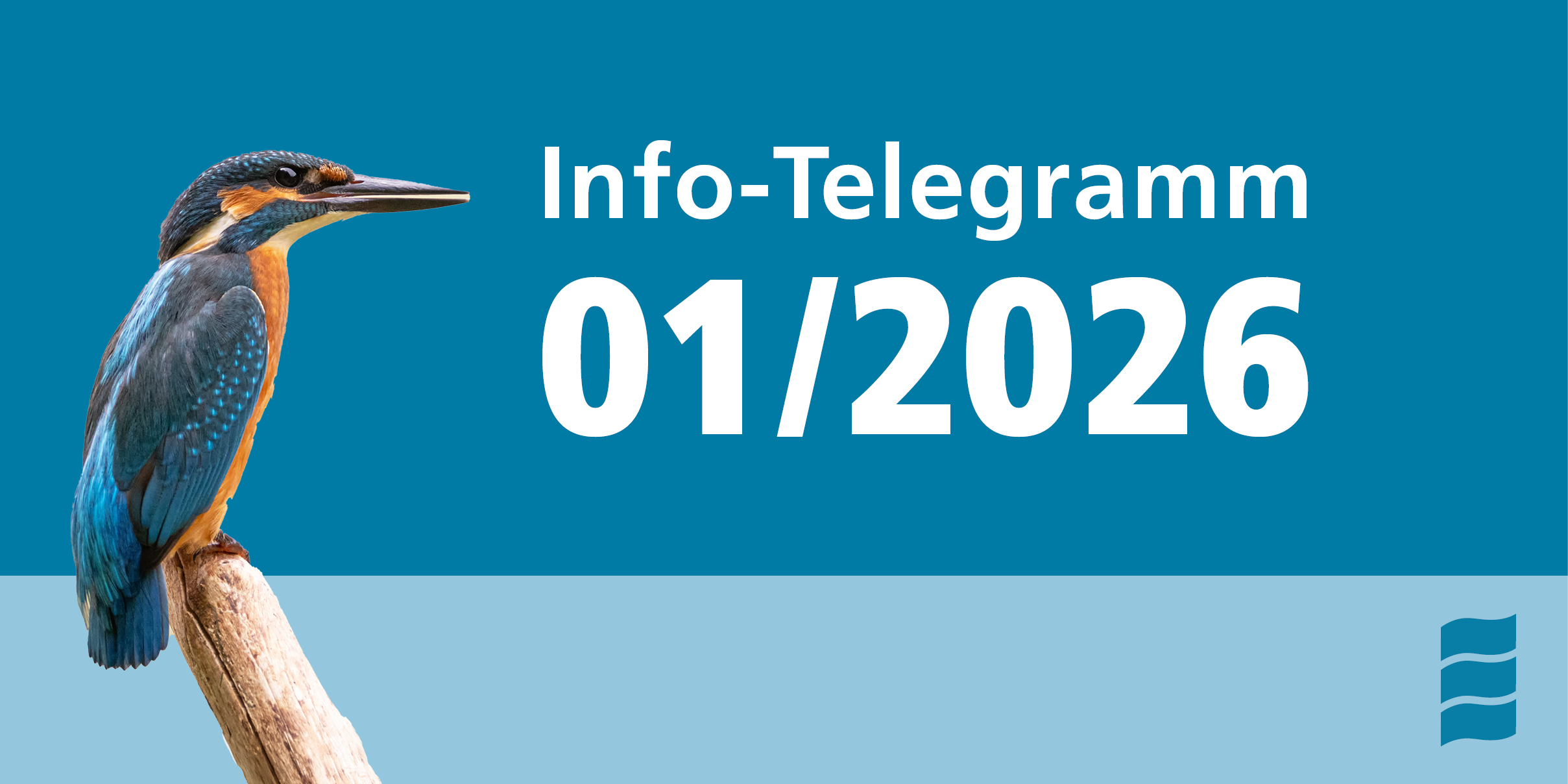 Info-Telegramm 1/2026
