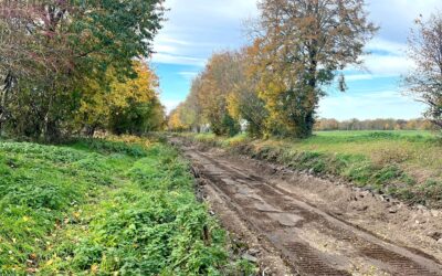 Verzögerungen bei der Verfüllung des alten Erftlaufs in Erftstadt-Gymnich