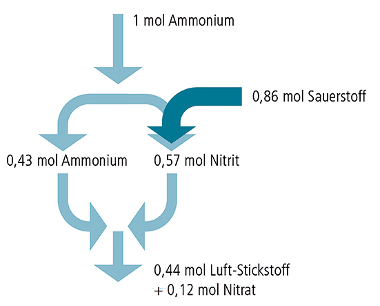 Erläuterung des chemischen Prozesses der Stickstoffelimination