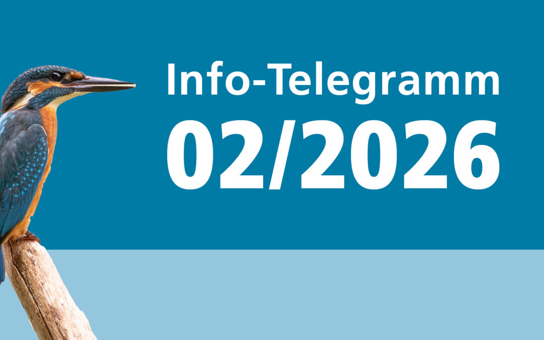 Info-Telegramm 02/2026