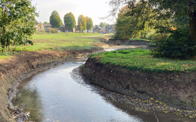 Informationsfluss 1|2023: Neffelbach Renaturierung in Nörvenich