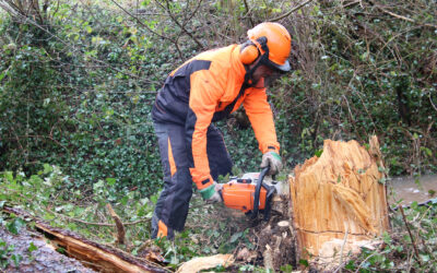 Ganzjährige Gehölzpflege: Erftverband sorgt für sichere Wege und intakte Lebensräume