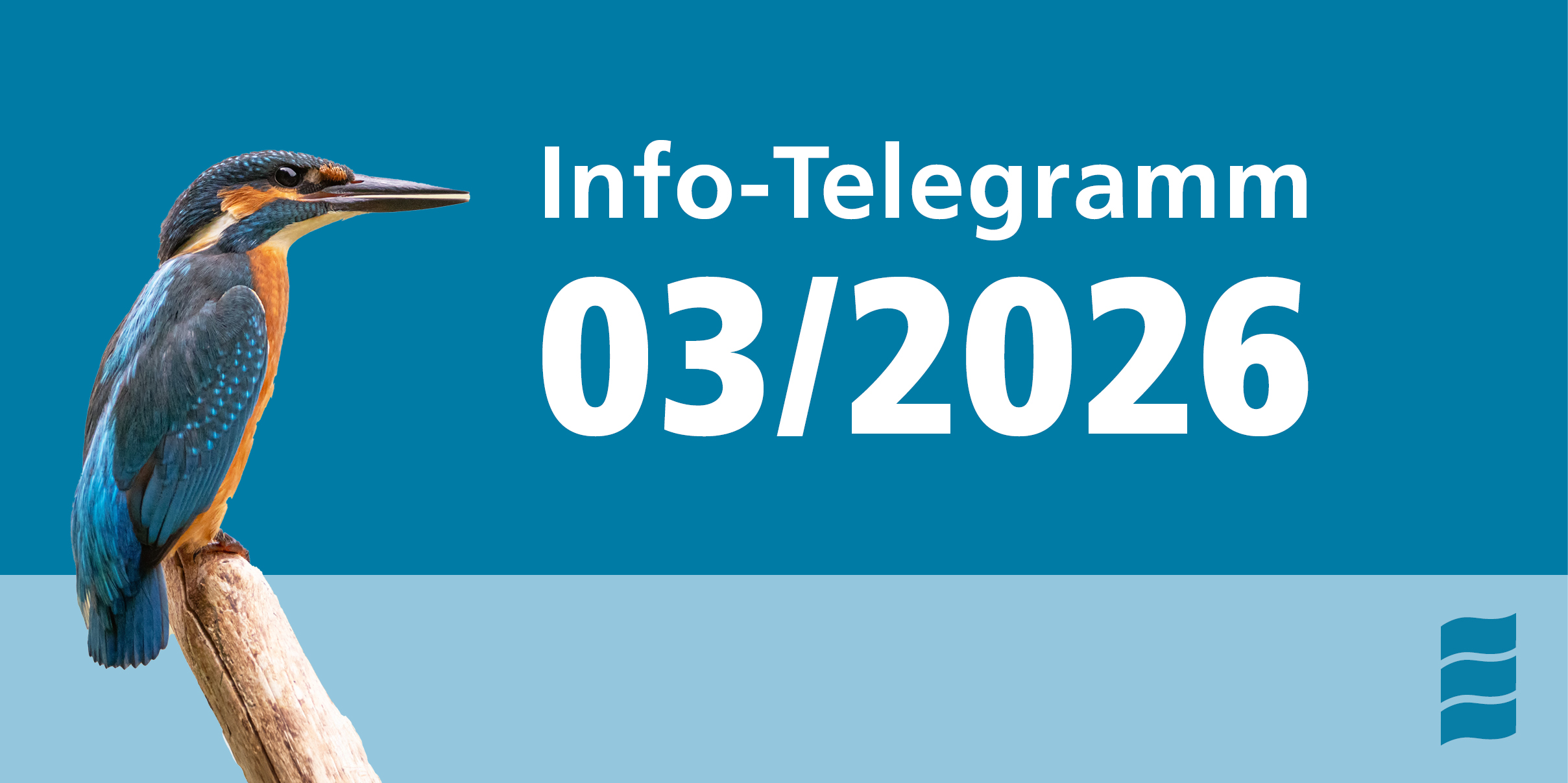 Info-Telegramm 03/2026