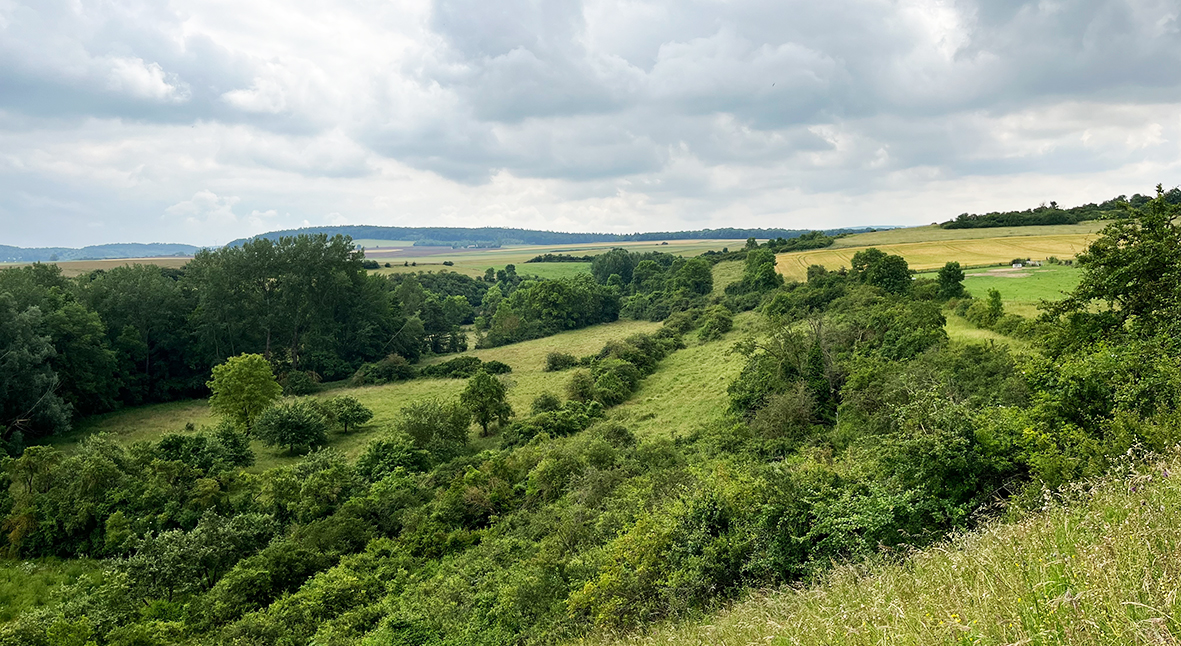 Hochwasserrückhaltebecken Zülpich-Schwerfen