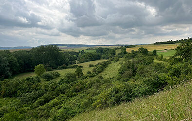 Artenschutzmaßnahmen für geplantes Hochwasserrückhaltebecken Schwerfen gestartet
