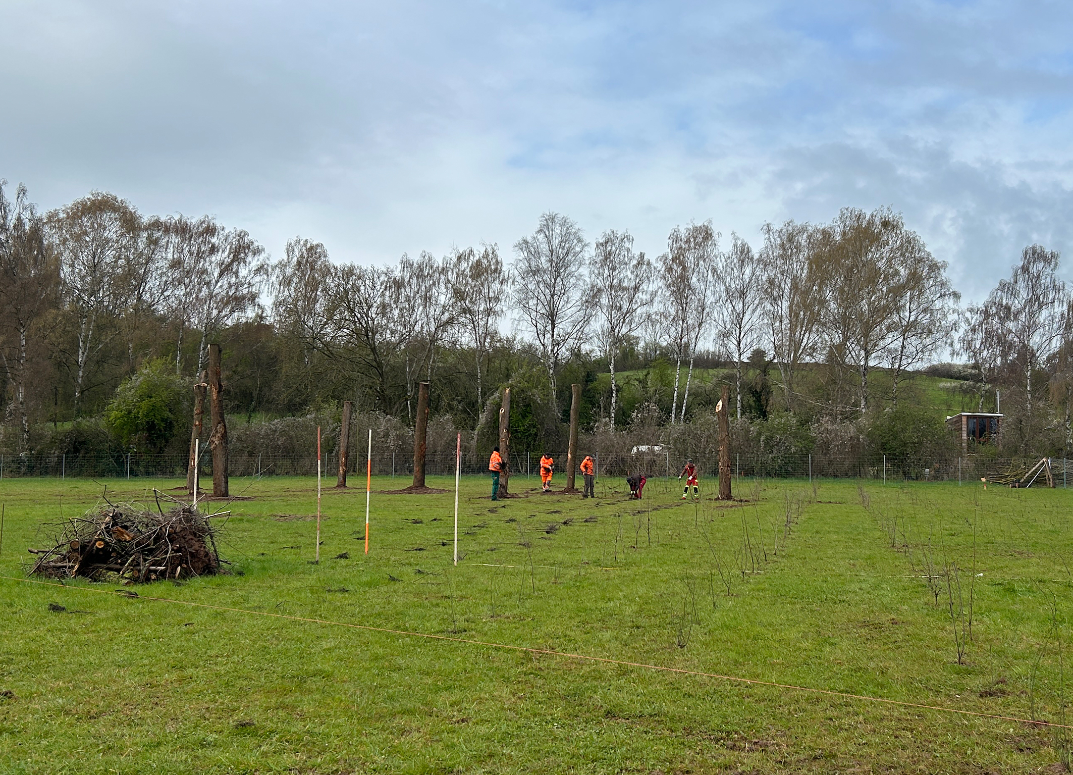 Umsetzung der Artenschutzmaßnahmen auf den Wiesenflächen neben der alten Talmühle in Schwerfen