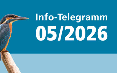 Info-Telegramm 05/2026