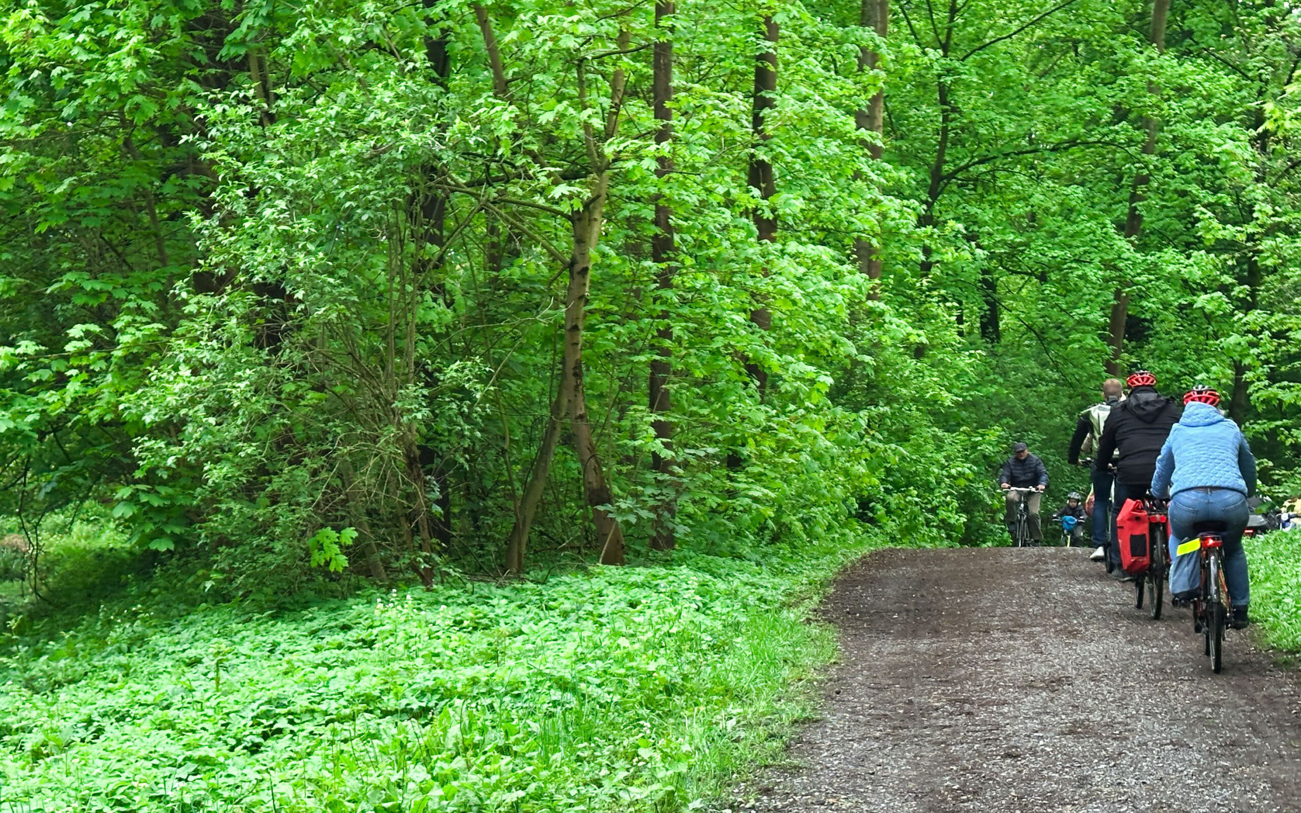 Fahrräder in Auenlandschaft
