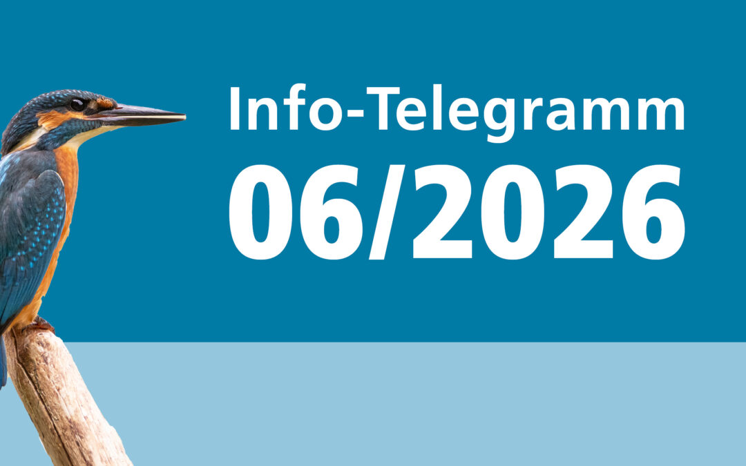 Info-Telegramm 06/2026