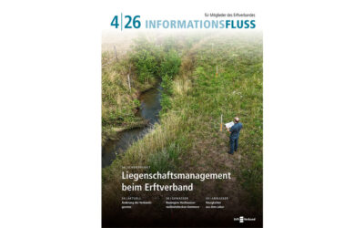Informationsfluss