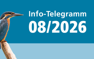 Info-Telegramm 08/2026