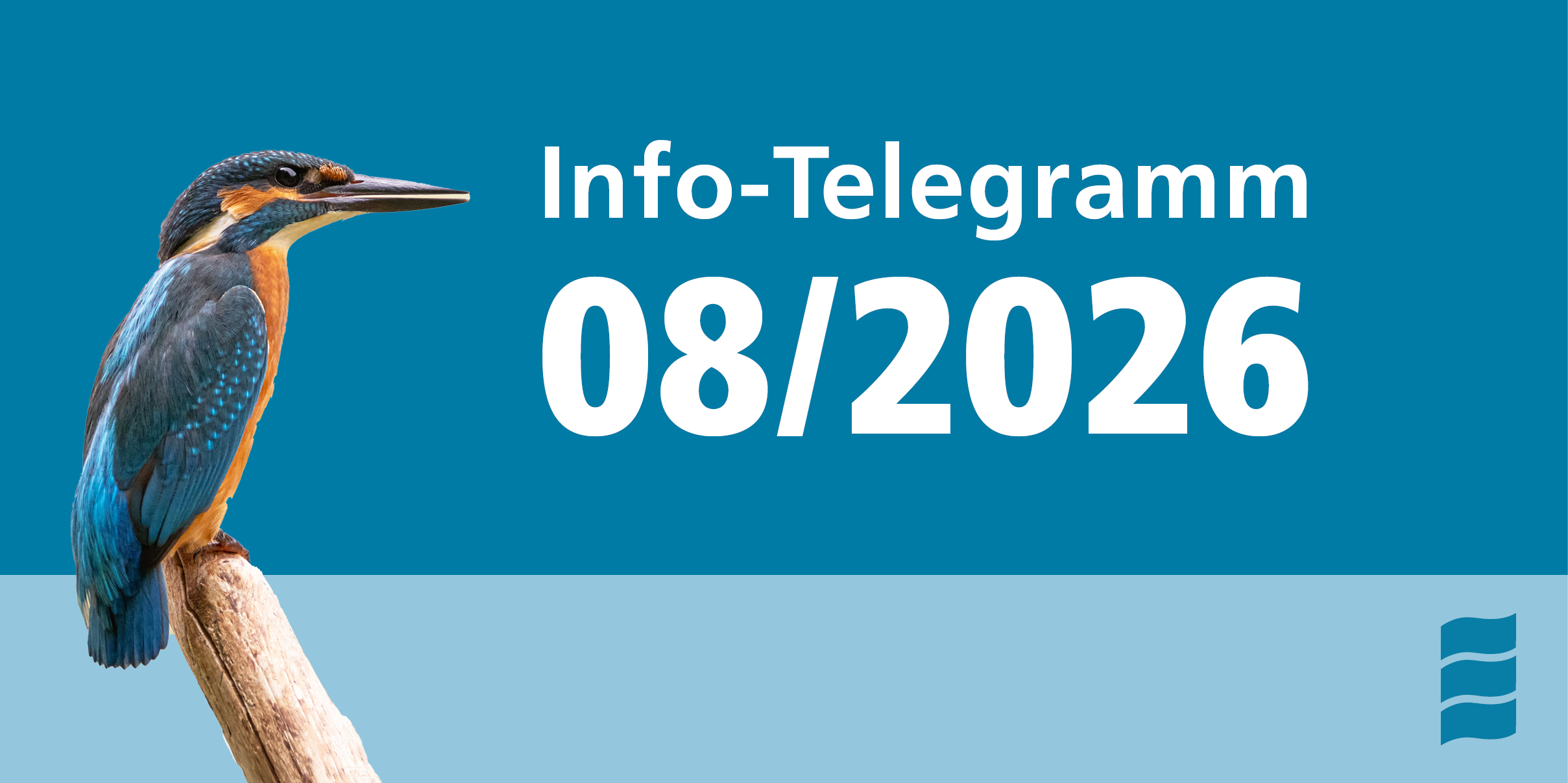 Info-Telegramm 08/2026 Info-Telegramm 08/2026