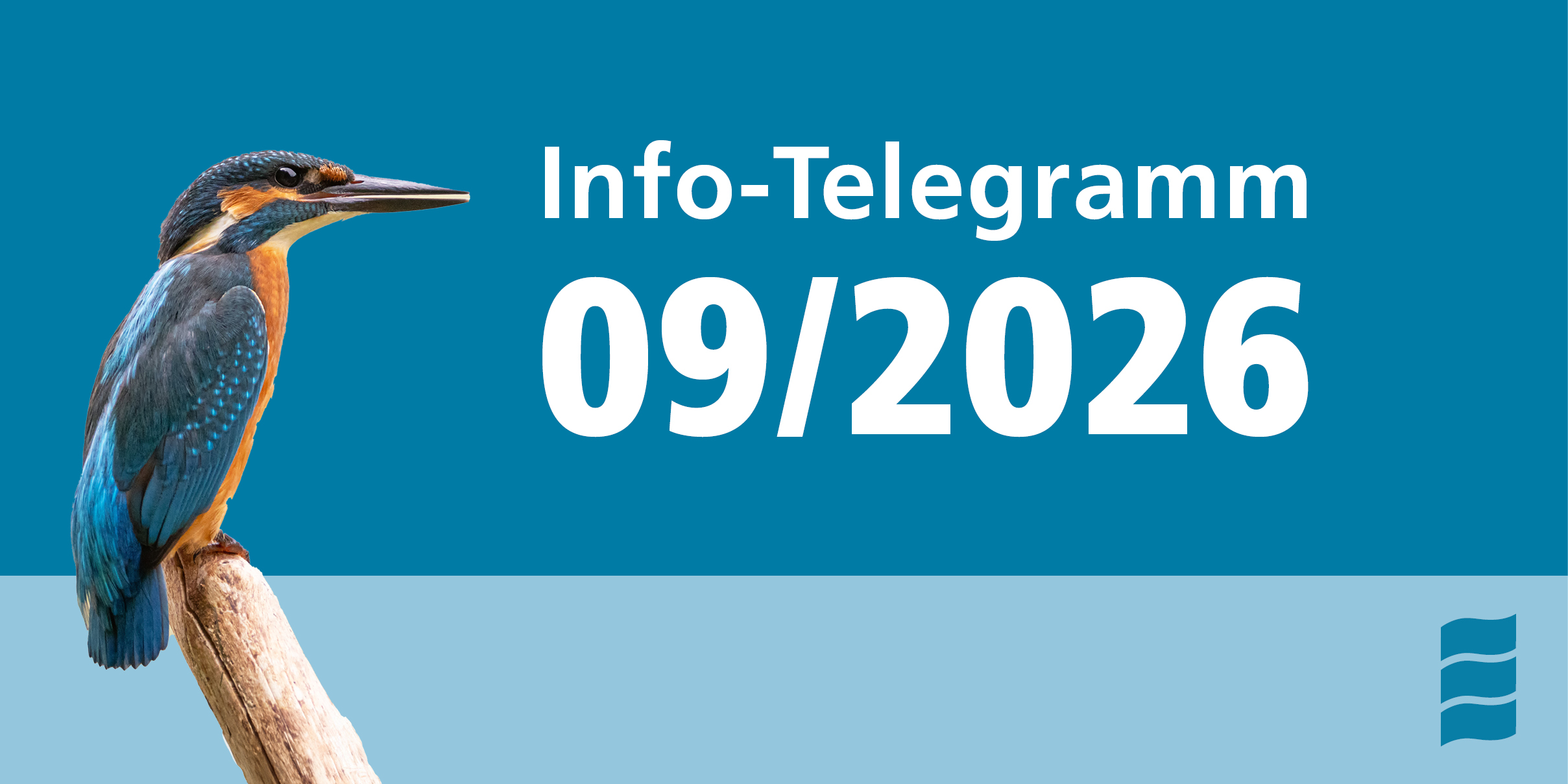 Info-Telegramm 09/2026